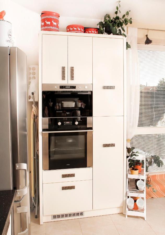 2-Izbovy Apartman Mlynica S Balkonom Экстерьер фото